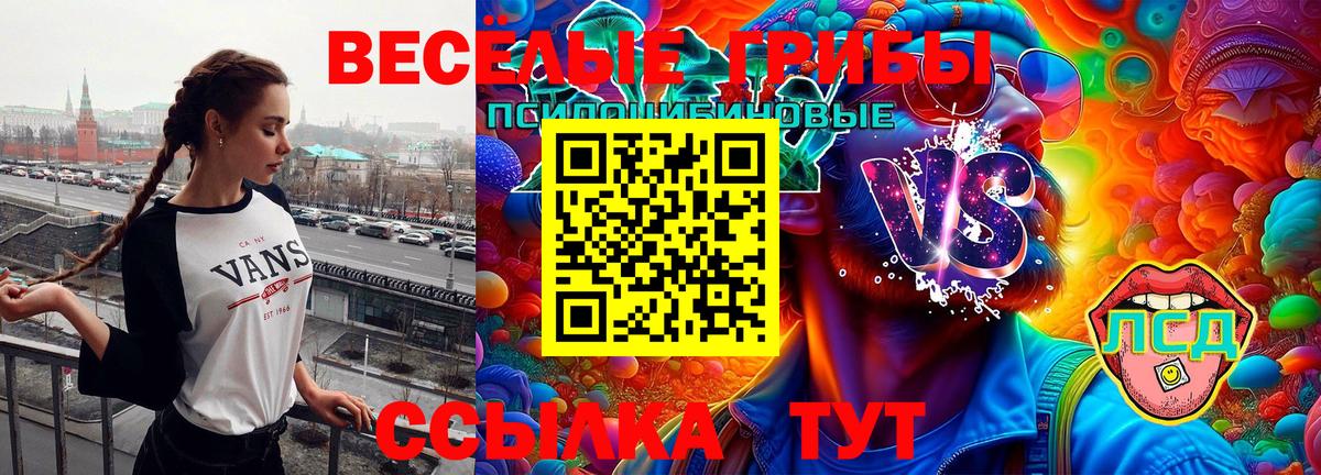 Псилоцибиновые грибы GOLDEN TEACHER Шадринск